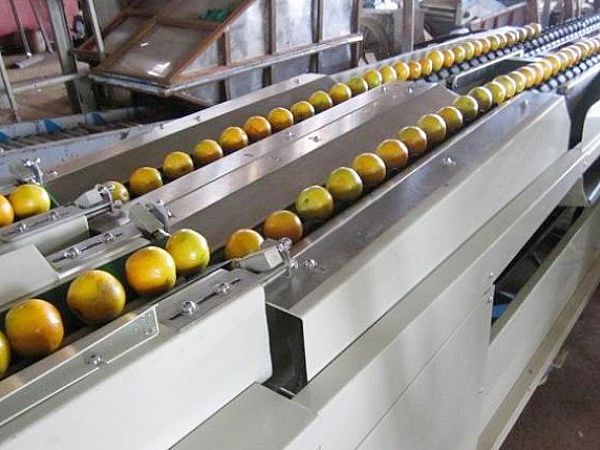 食品果蔬機械行業